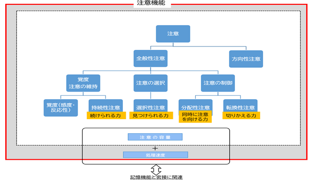 注意機能のイメージ図