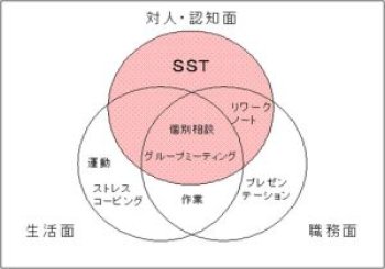 図は、第一章のJDSPの概要で、JDSPカリキュラムの全体構成を示した資料の抜粋です。JDSPのカリキュラムは、「生活面」「対人・認知面」「職務面」におけるそれぞれの課題に応じて構成しており、このうち「個別相談」「グループミーティング」は、三つの領域に関わる中心的な支援であることを示しています。