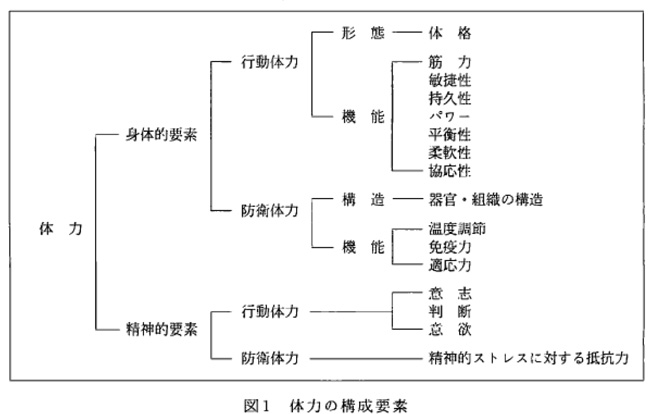 図は、体力の構成要素について示しています。参考文献から抜粋して本文に掲載しています。