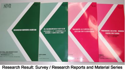 Research Result: Survey / Research Reports and Material Series