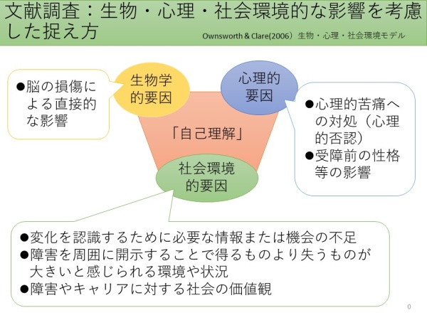 文献調査:生物・心理・社会環境的な影響を考慮した捉え方を図化したもの