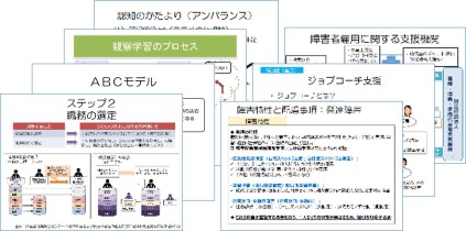 本研究で試行した、研修プログラム(講義・演習)を活用した事業主支援の中で使用した、パワーポイントのスライド資料のうち、例として7枚程度のイメージ画像が縮小され、重ねられて示されている。研修のテーマに含まれた「ジョブコーチ」、「職務の選定」、「障害特性」等の文字が見える。